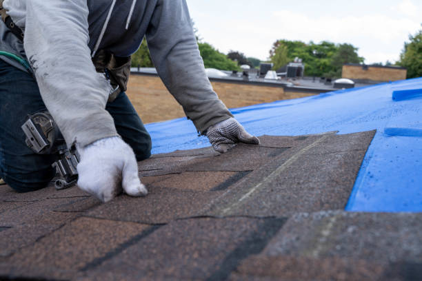 Best Flat Roofing  in Newton Falls, OH