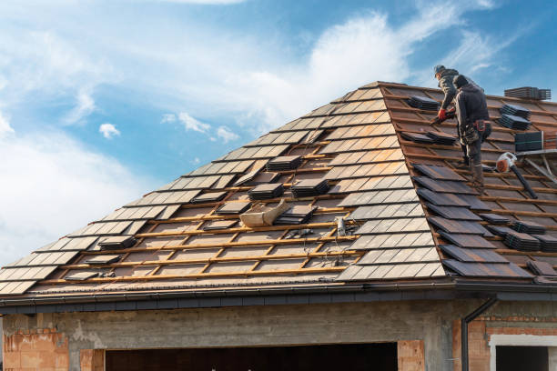Best Roof Moss and Algae Removal  in Newton Falls, OH